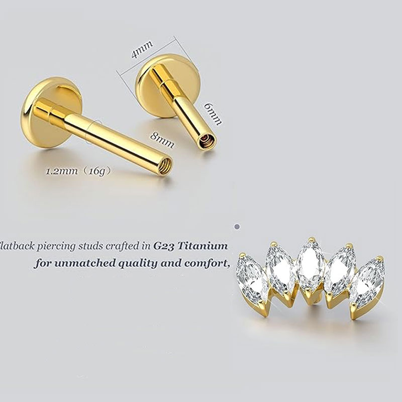 2pcs F136 G23 Titanium Cartila - Body Jewelry Threadless recensie en prijs