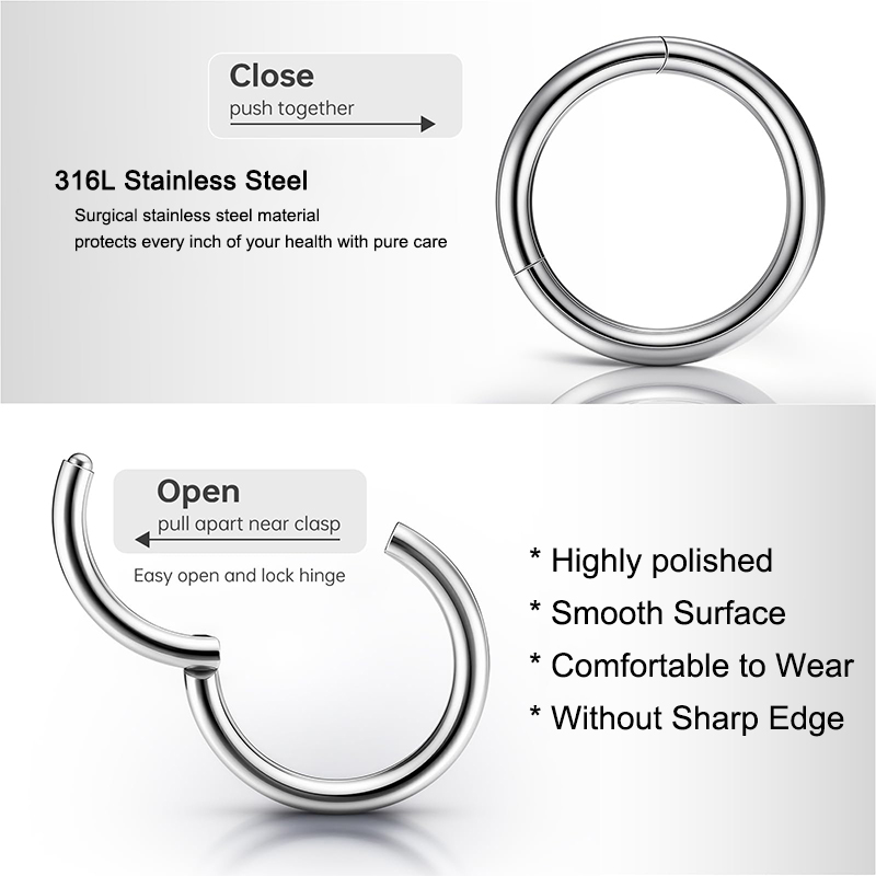 16G 316L Surgical Steel Hinged - Body Jewelry Earrings recensie en prijs
