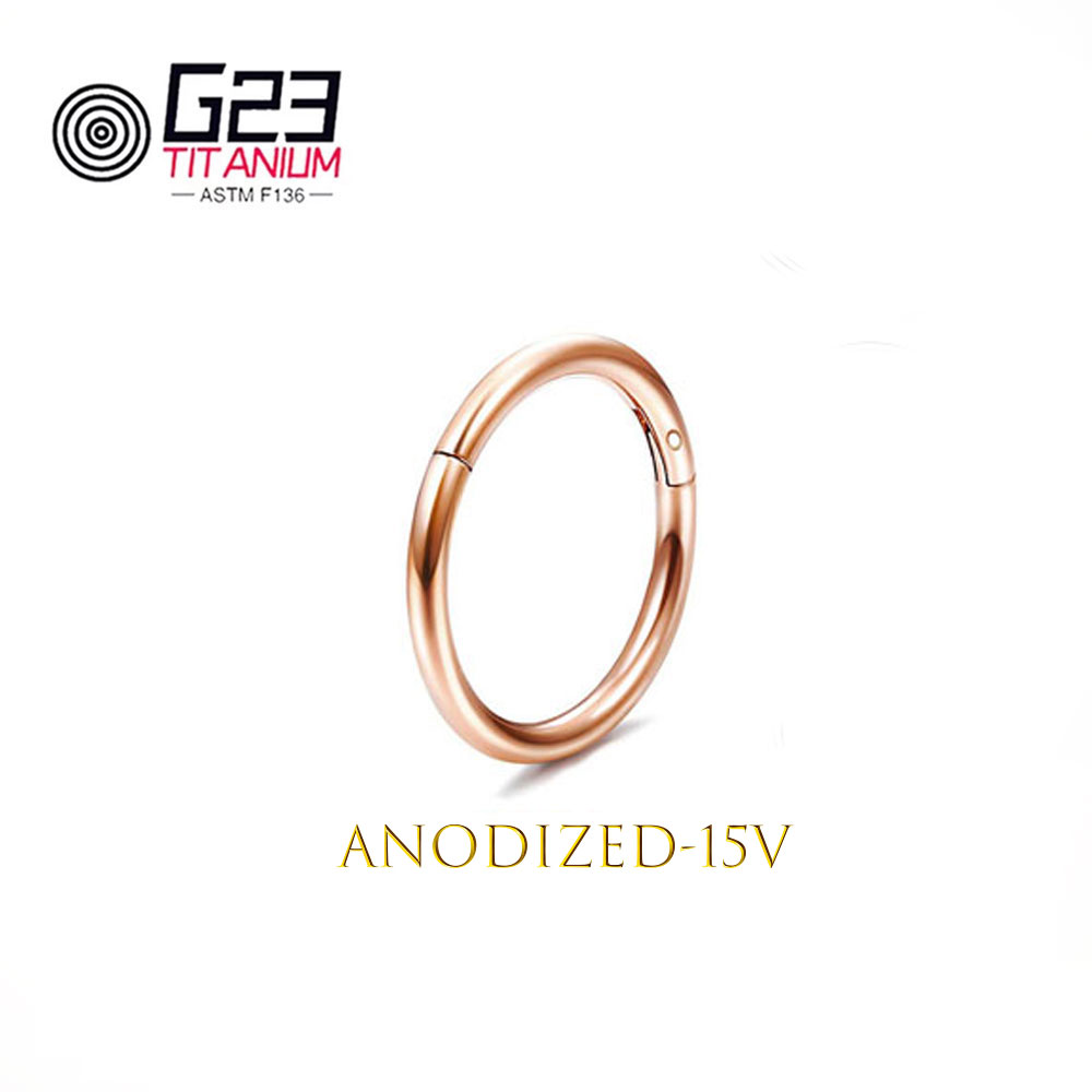 Wholesale G23 Titanium Nose Pi - Body Jewelry Implant Grade Titanium recensie en prijs