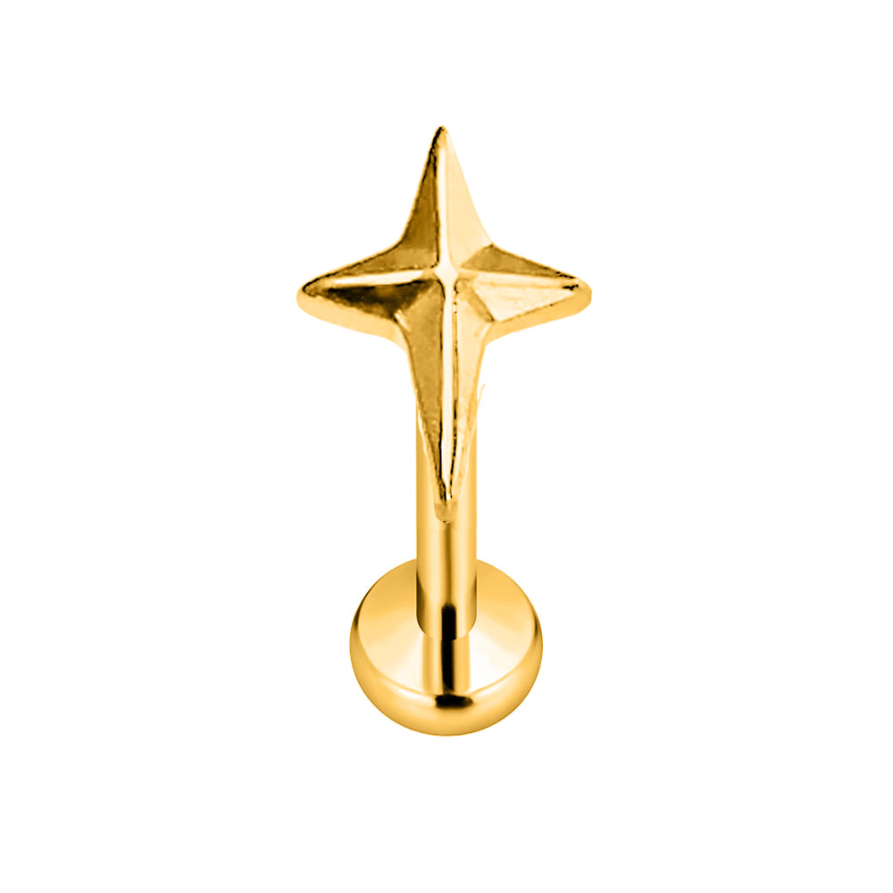 ASTM F136 G23 Titanium Star Cr - Body Jewelry Threadless recensie en prijs