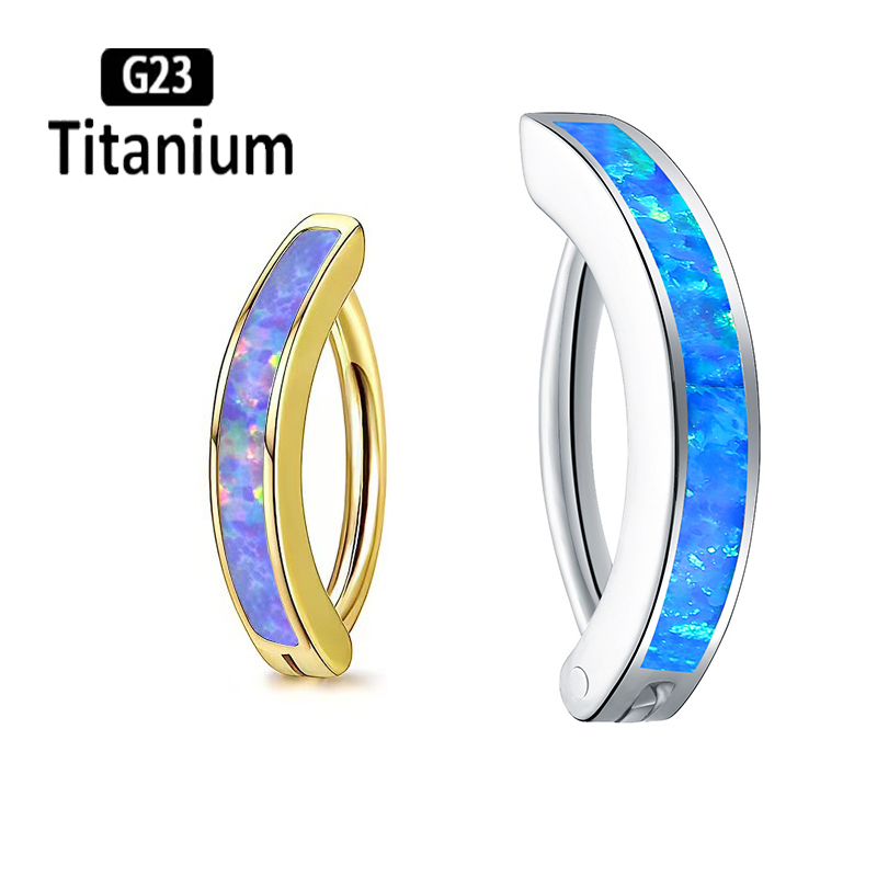 1PC 14G Implant Grade G23 Tita - Body Jewelry Implant Grade Titanium recensie en prijs