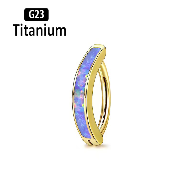 1PC 14G Implant Grade G23 Tita - Body Jewelry Implant Grade Titanium recensie en prijs
