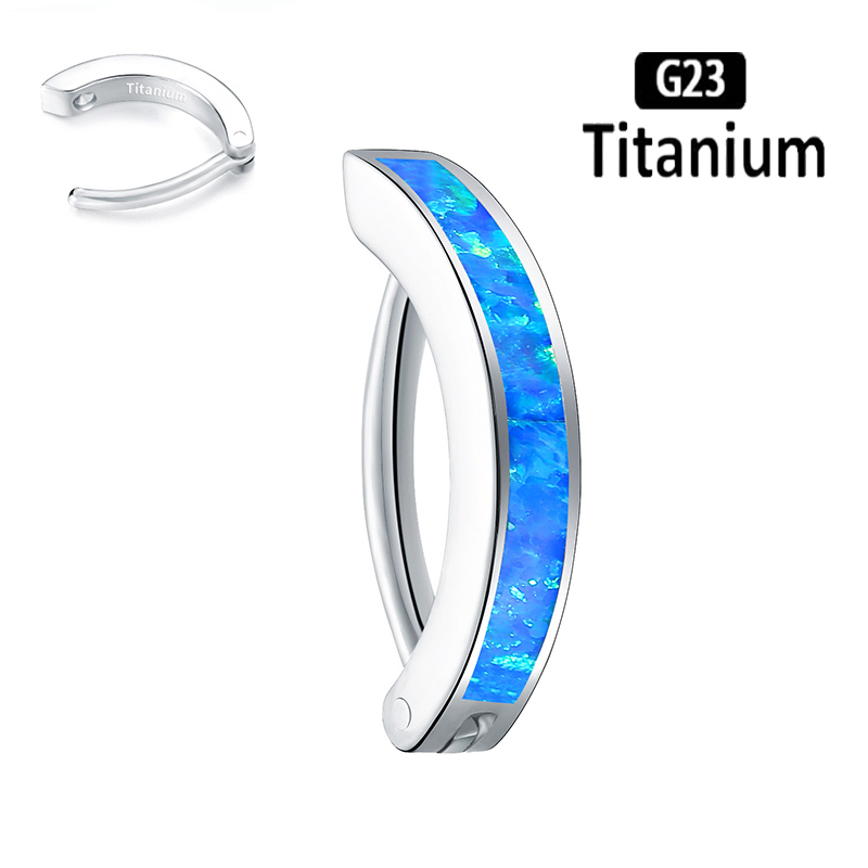 1PC 14G Implant Grade G23 Tita - Body Jewelry Implant Grade Titanium recensie en prijs