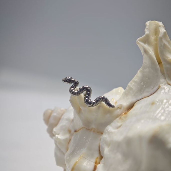 16G Titanium Implant Grade Hig - Body Jewelry Implant Grade Titanium recensie en prijs