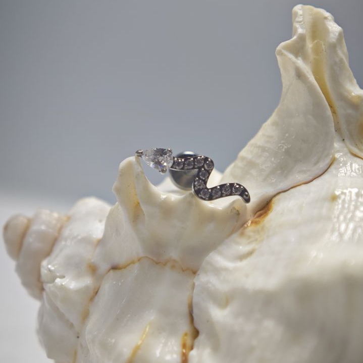 16G Titanium Implant Grade Hig - Body Jewelry Implant Grade Titanium recensie en prijs