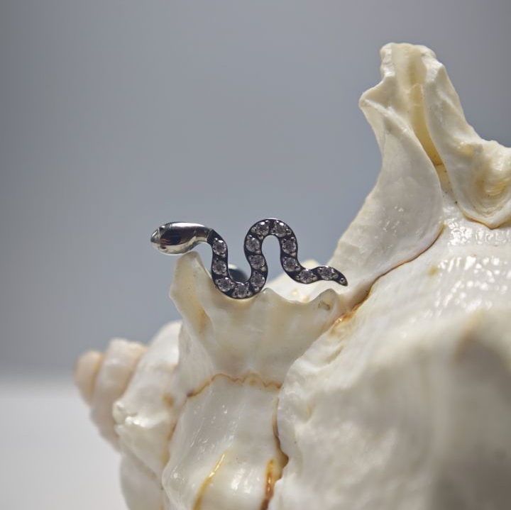 16G Titanium Implant Grade Hig - Body Jewelry Implant Grade Titanium recensie en prijs