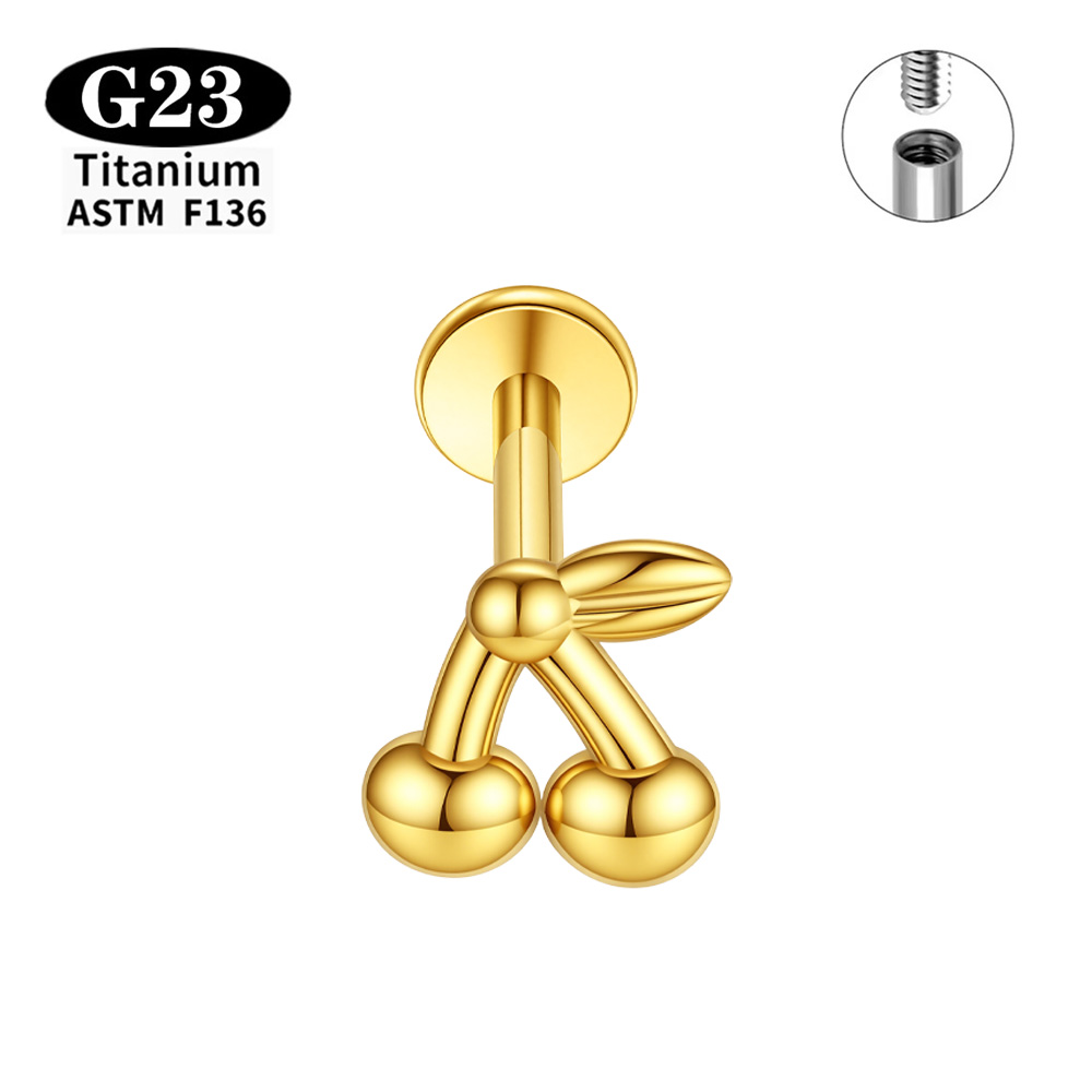 Implant Grade ASTM F136 Titani - Body Jewelry Implant Grade Titanium recensie en prijs