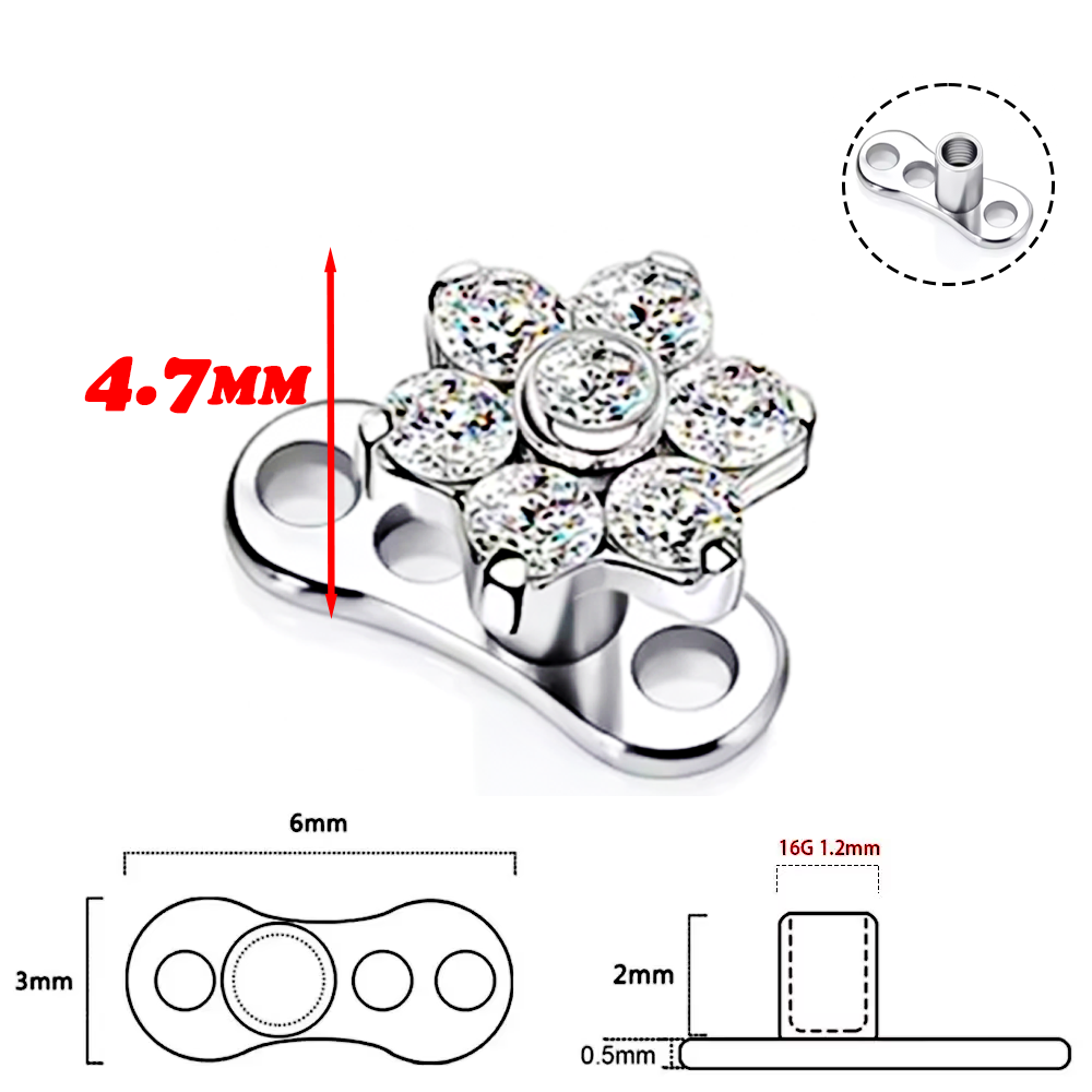 F136 Titanium Alloy High-Quali - Body Jewelry Implant Grade Titanium recensie en prijs