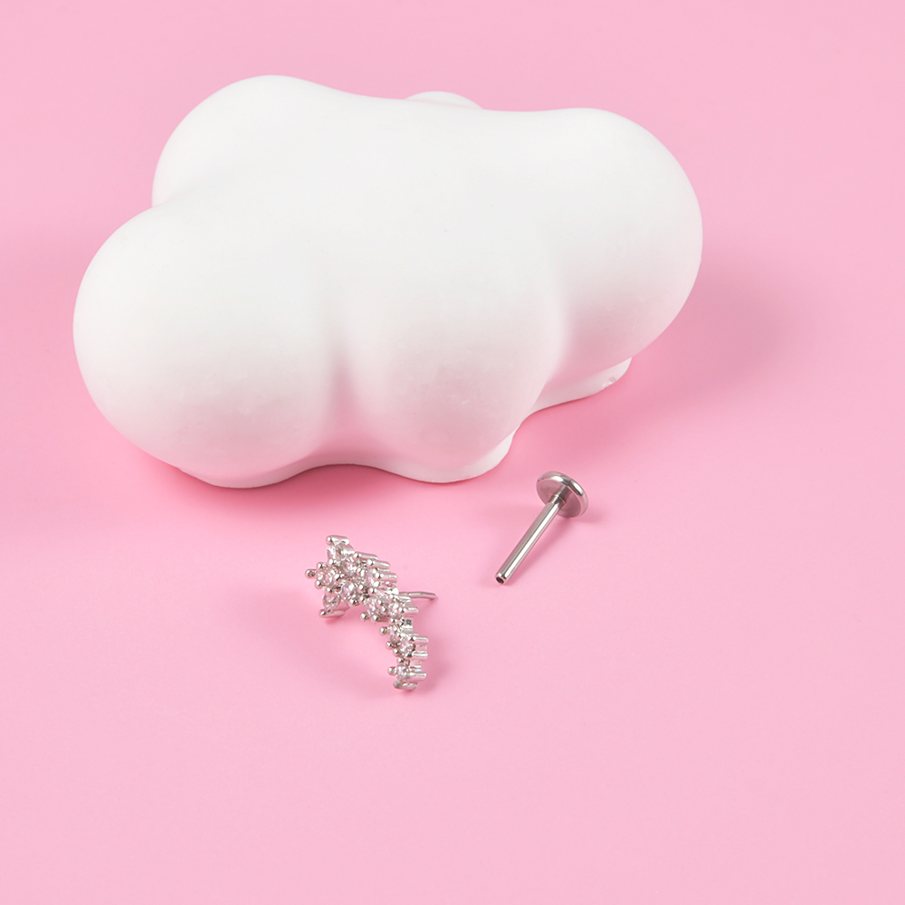 1PC Surgical Steel Zircon Labr - Body Jewelry Threadless recensie en prijs