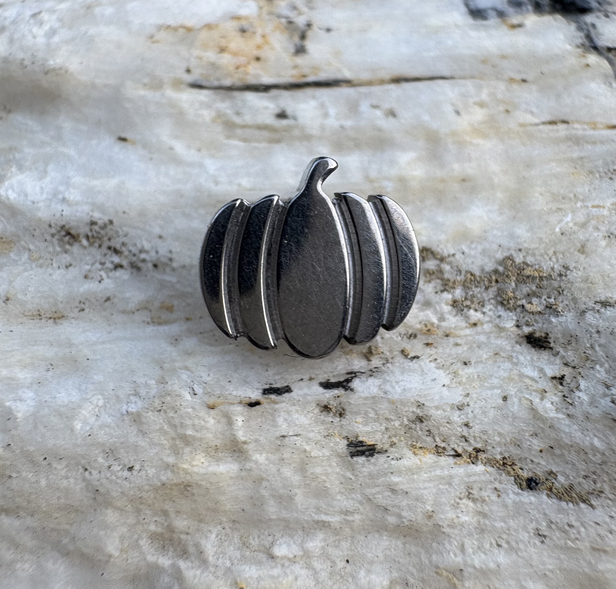 16G Implant Grade Titanium AST - Body Jewelry Implant Grade Titanium recensie en prijs